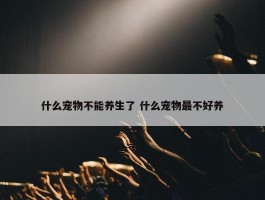 什么宠物不能养生了 什么宠物最不好养