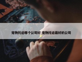 宠物托运哪个公司好 宠物托运最好的公司