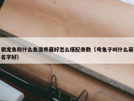 银龙鱼和什么鱼混养最好怎么搭配条数（母兔子叫什么萌名字好）