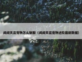 闹闹天宫宠物怎么驯服（闹闹天宫宠物进阶最新数据）