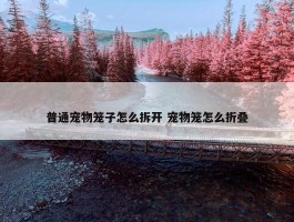 普通宠物笼子怎么拆开 宠物笼怎么折叠