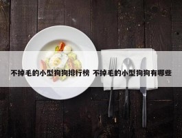 不掉毛的小型狗狗排行榜 不掉毛的小型狗狗有哪些