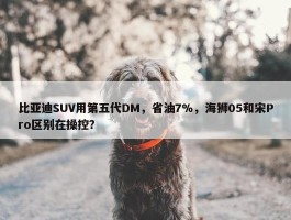 比亚迪SUV用第五代DM，省油7%，海狮05和宋Pro区别在操控？