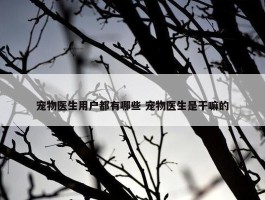 宠物医生用户都有哪些 宠物医生是干嘛的