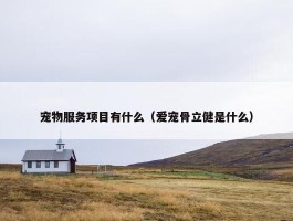 宠物服务项目有什么（爱宠骨立健是什么）