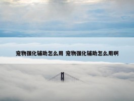 宠物强化辅助怎么用 宠物强化辅助怎么用啊