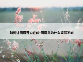 如何让画眉开口在叫-画眉鸟为什么突然不叫