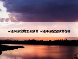 问道网游宠物怎么放生 问道手游宝宝放生在哪