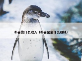 抖音靠什么收入（抖音是靠什么赚钱）