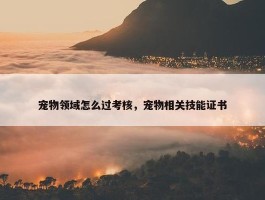 宠物领域怎么过考核，宠物相关技能证书