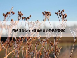 哪吒抖音合作（哪吒抖音合作伙伴是谁）