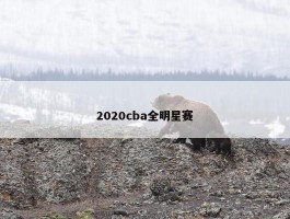 2020cba全明星赛