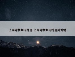 上海宠物如何托运 上海宠物如何托运到外地