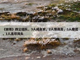 《披哥》四公组队，3人成赢家，2人情商高，3人撒谎，1人出尽风头