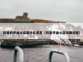 抖音的开通小店是什么意思（抖音开通小店详细流程）