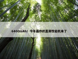 6400mAh！今年最炸的直屏性能机来了