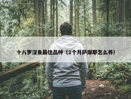 十八罗汉鱼最佳品种（2个月萨摩耶怎么养）