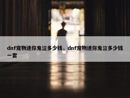 dnf宠物迷你鬼泣多少钱，dnf宠物迷你鬼泣多少钱一套