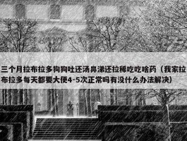 三个月拉布拉多狗狗吐还汤鼻涕还拉稀吃吃啥药（我家拉布拉多每天都要大便4-5次正常吗有没什么办法解决）