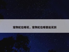 宠物蛇在哪买，宠物蛇在哪里能买到