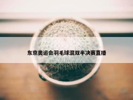 东京奥运会羽毛球混双半决赛直播