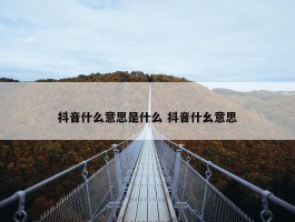 抖音什么意思是什么 抖音什幺意思