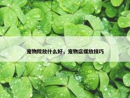 宠物院放什么好，宠物店摆放技巧