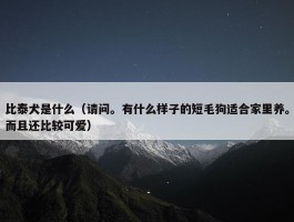 比泰犬是什么（请问。有什么样子的短毛狗适合家里养。而且还比较可爱）