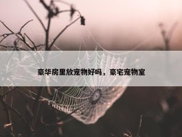 豪华房里放宠物好吗，豪宅宠物室