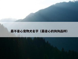 最不省心宠物犬名字（最省心的狗狗品种）