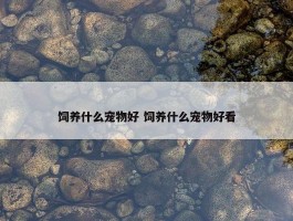 饲养什么宠物好 饲养什么宠物好看