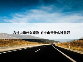 方寸山带什么宠物 方寸山带什么神兽好