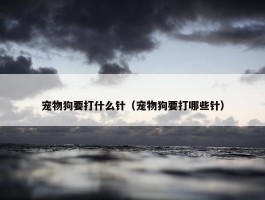 宠物狗要打什么针（宠物狗要打哪些针）