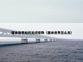 厘米世界如何关闭宠物（厘米世界怎么关）