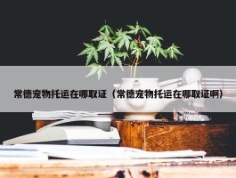 常德宠物托运在哪取证（常德宠物托运在哪取证啊）