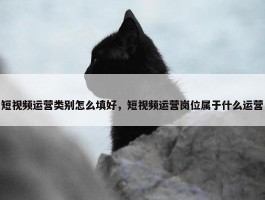 短视频运营类别怎么填好，短视频运营岗位属于什么运营