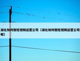 湖北如何做短视频运营公司（湖北如何做短视频运营公司呢）