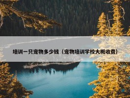 培训一只宠物多少钱（宠物培训学校大概收费）