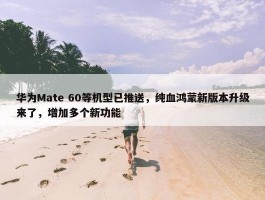 华为Mate 60等机型已推送，纯血鸿蒙新版本升级来了，增加多个新功能