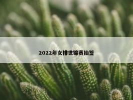 2022年女排世锦赛抽签