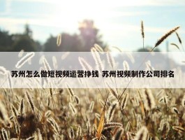 苏州怎么做短视频运营挣钱 苏州视频制作公司排名