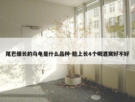 尾巴细长的乌龟是什么品种-脸上长4个喝酒窝好不好