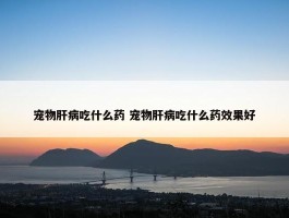 宠物肝病吃什么药 宠物肝病吃什么药效果好