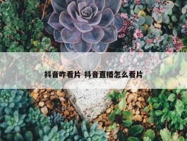 抖音咋看片 抖音直播怎么看片