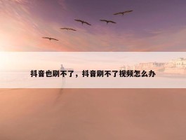 抖音也刷不了，抖音刷不了视频怎么办