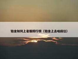 铂金如何上省服排行榜（铂金上去啥段位）