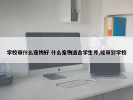 学校带什么宠物好 什么宠物适合学生养,能带到学校