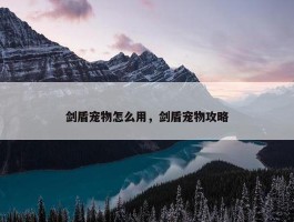 剑盾宠物怎么用，剑盾宠物攻略