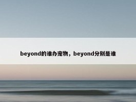 beyond的谁办宠物，beyond分别是谁