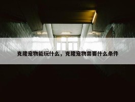 克隆宠物能玩什么，克隆宠物需要什么条件